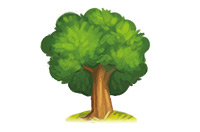 a tree