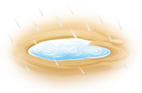 a puddle