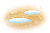 puddles