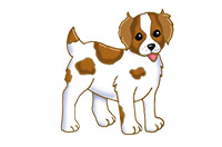 a dog