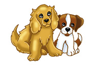 dogs
