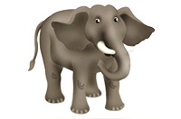 an elephant