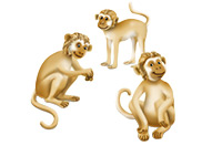 monkeys