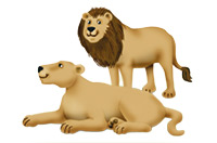 lions