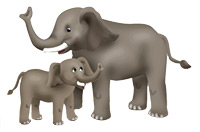 elephants