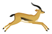 graceful