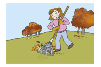 raked leaves