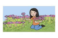 picked flowers
