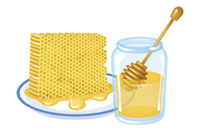 honey/ sweet