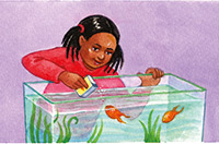feeding the fish