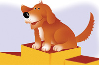 dog