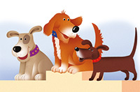 dogs