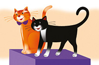 cats