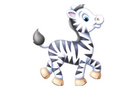 zebra