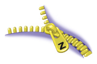 zipper