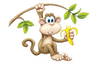 monkey