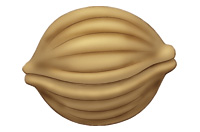 nut
