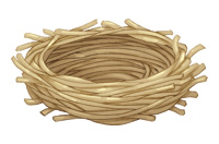 nest