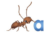 ant