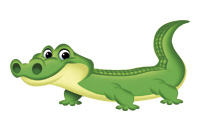 alligator