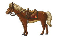 horse