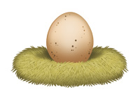 egg