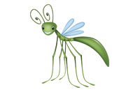 insect