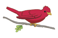 bird