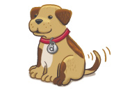 dog