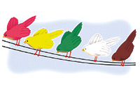 birds
