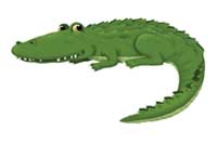 alligator