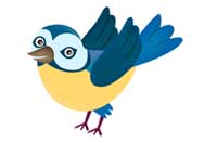 bird