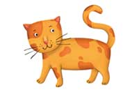 cat
