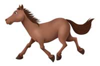 horse
