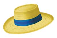 hat