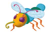 insect