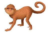 monkey