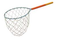 net