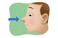 nose