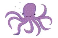 octopus