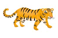 tiger