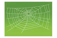 web