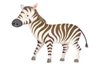 zebra