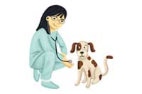 vet