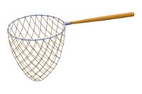 net
