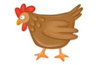 hen