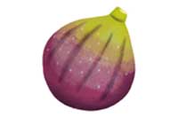 fig