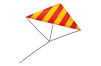 kite