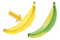 ripe