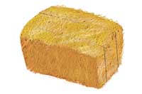 hay